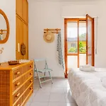View, Terrace, Garden *