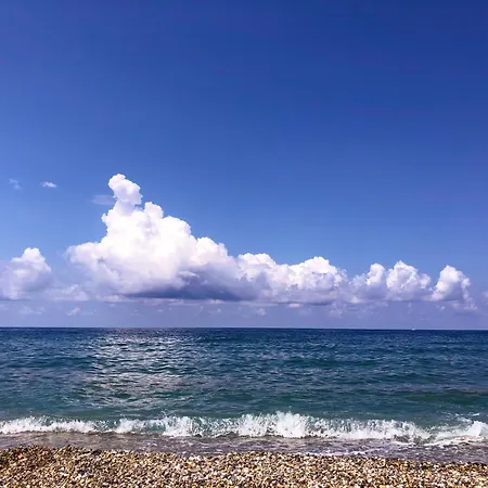 View, Terrace, Garden Campolivaro