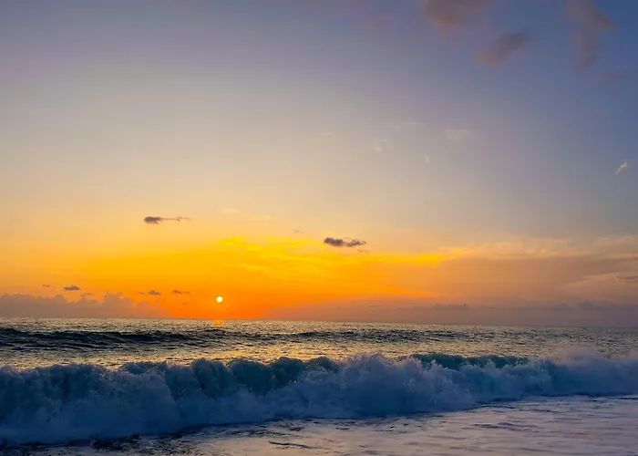View, Terrace, Garden