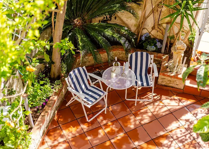 View, Terrace, Garden *