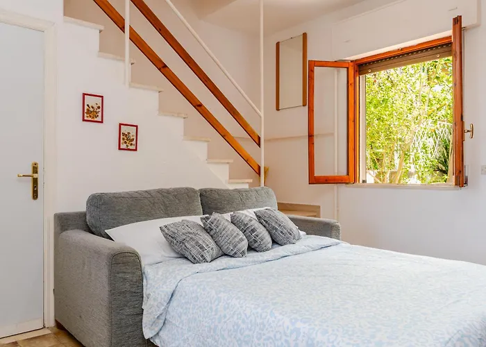 View, Terrace, Garden